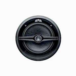 Focal Littora 1000 ICW 8